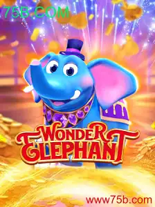 Explorando o Fascinante Mundo de WonderElephant: Um Guia Completo Para Iniciantes
